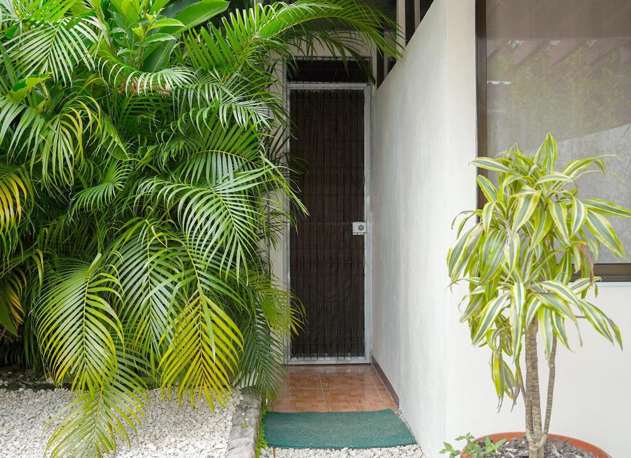 Apartamentos Y Studios Brisas Del Mar Santa Teresa Playa Santa Teresa  Exteriör bild