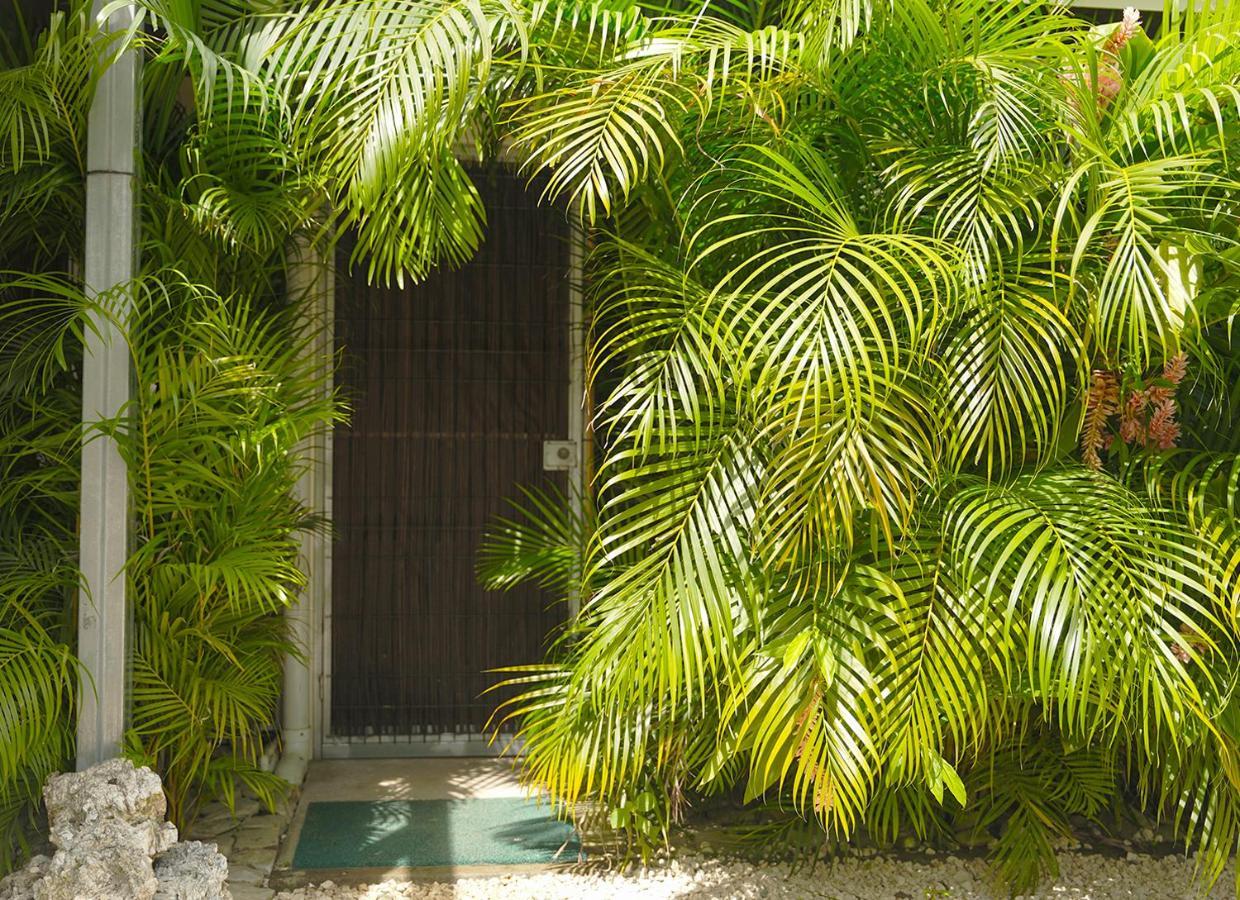 Apartamentos Y Studios Brisas Del Mar Santa Teresa Playa Santa Teresa  Exteriör bild